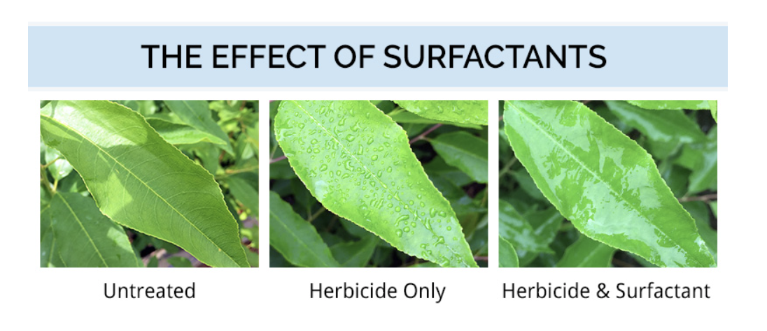 Tout ce que vous devez savoir sur les tensioactifs pour herbicides